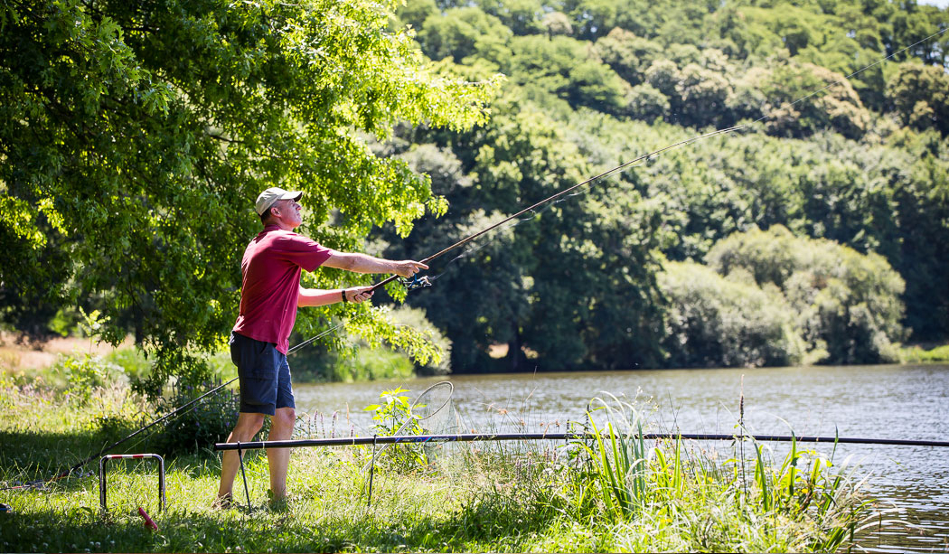 Le Pin Parasol Paesi della Loira - La Chapelle Hermier visuel 21/33 Le Pin Parasol Paesi della Loira - La Chapelle Hermier visuel 21/33