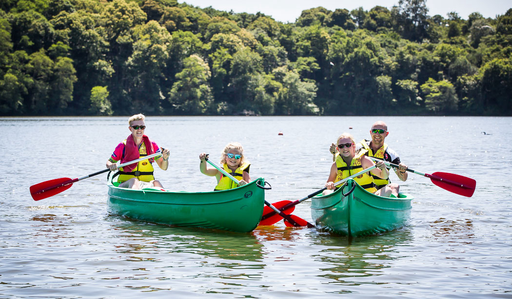 Le Pin Parasol Paesi della Loira - La Chapelle Hermier visuel 20/33 Le Pin Parasol Paesi della Loira - La Chapelle Hermier visuel 20/33
