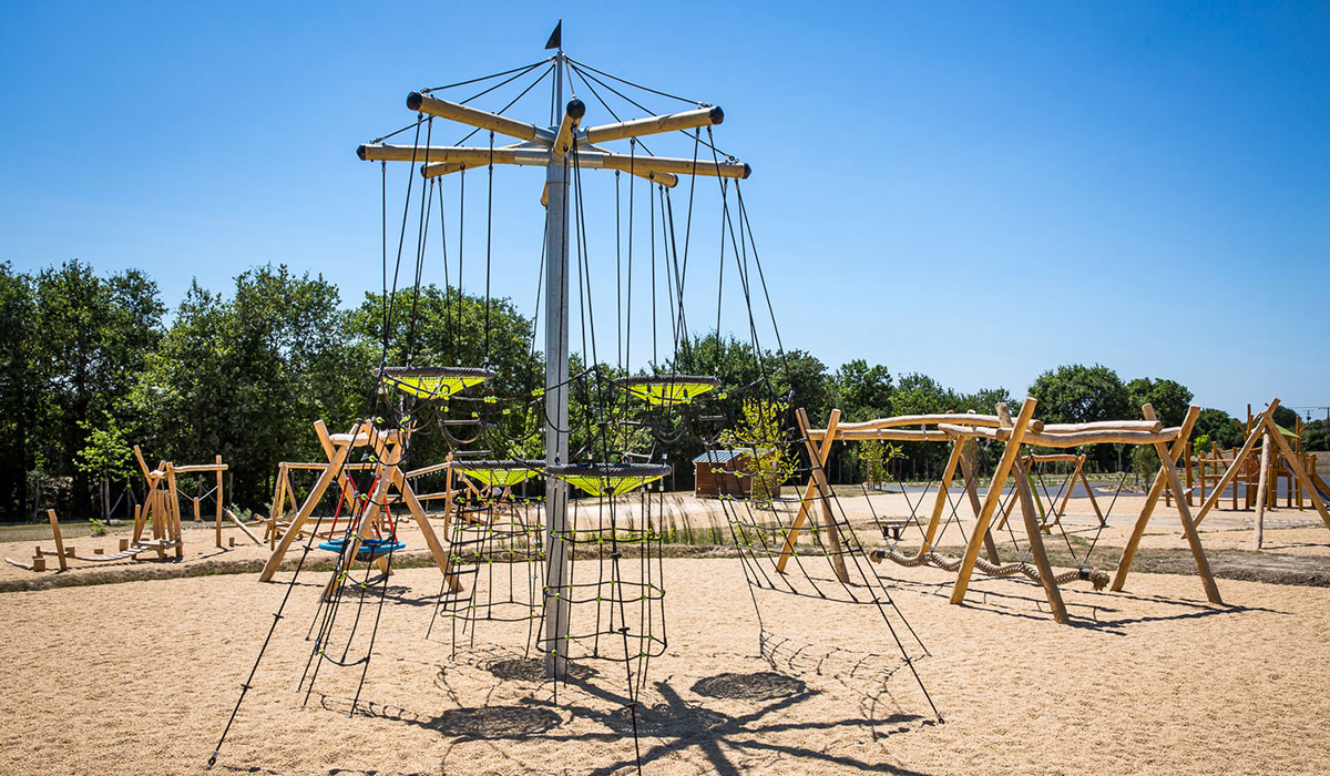 Le Pin Parasol Paesi della Loira - La Chapelle Hermier visuel 8/33 Le Pin Parasol Paesi della Loira - La Chapelle Hermier visuel 8/33