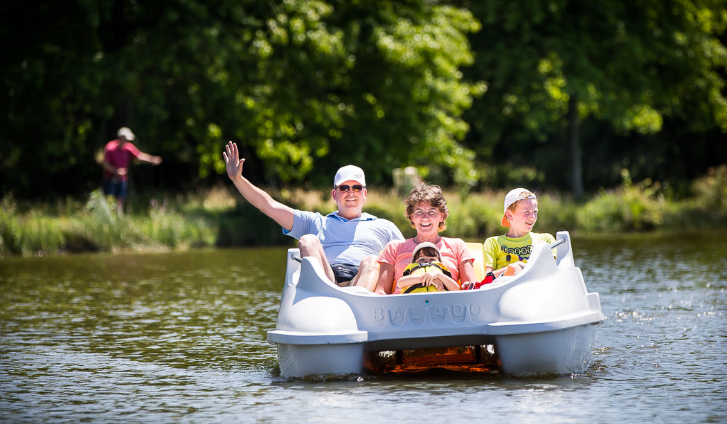 Le Pin Parasol Paesi della Loira - La Chapelle Hermier visuel 22/33 Le Pin Parasol Paesi della Loira - La Chapelle Hermier visuel 22/33