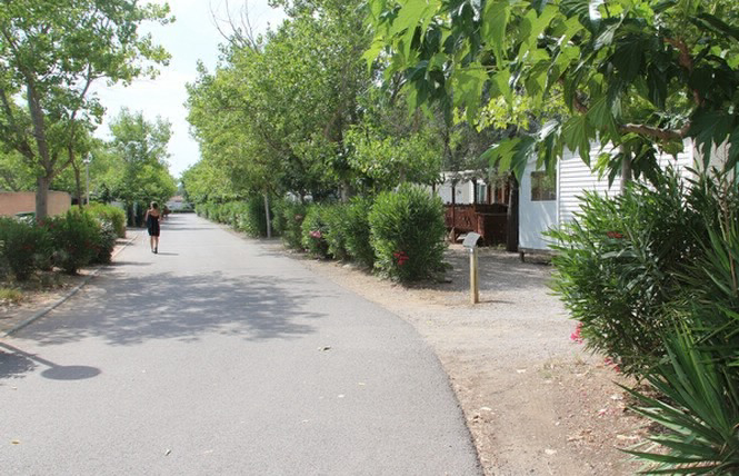 Le Pissevaches Linguadoca-Rossiglione - Fleury visuel 1/1