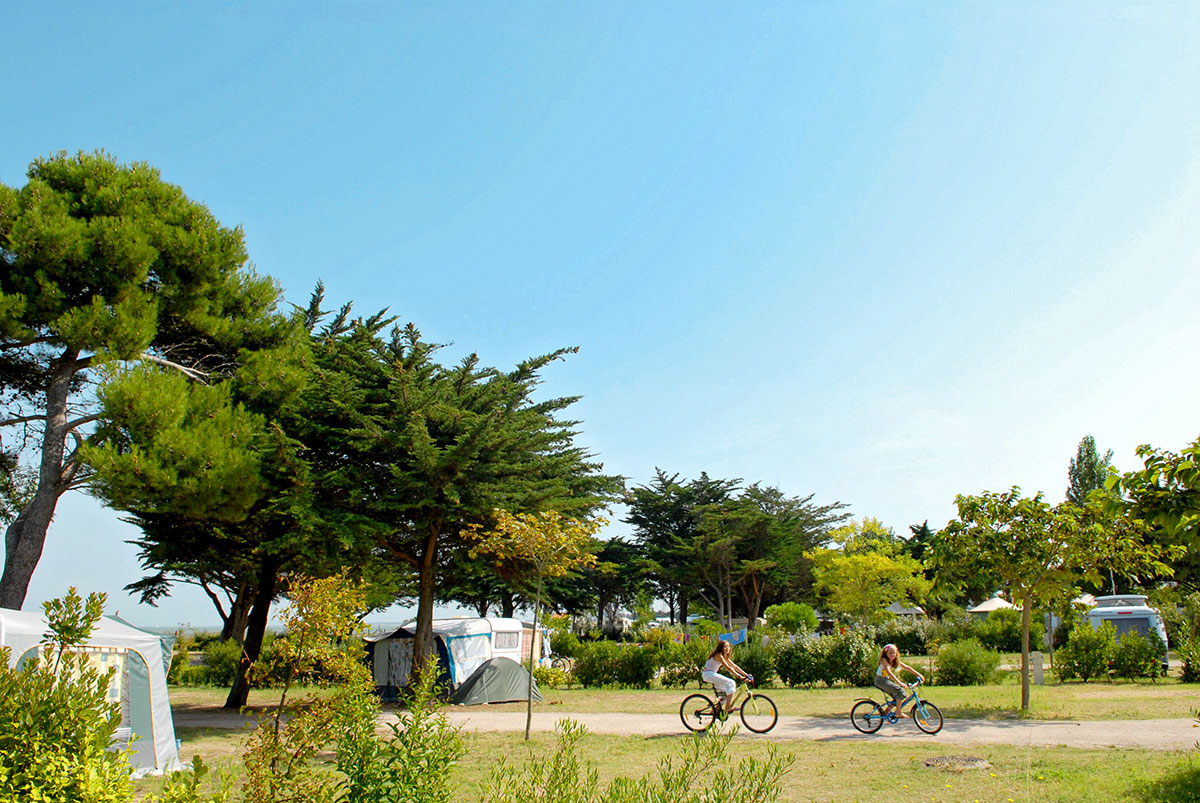 Le Platin Poitou-Charentes - Rivedoux-Plage visuel 10/15