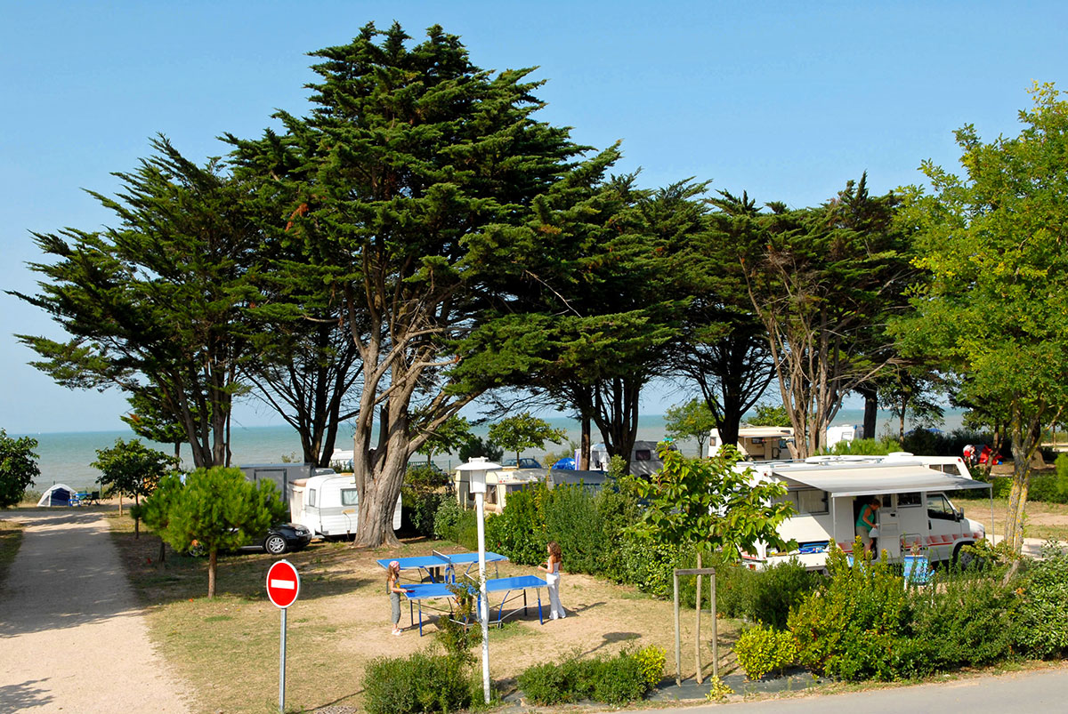 Le Platin Poitou-Charentes - Rivedoux-Plage visuel 11/15