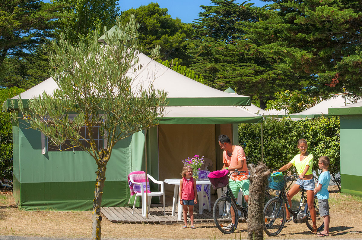 Le Platin Poitou-Charentes - Rivedoux-Plage visuel 5/15