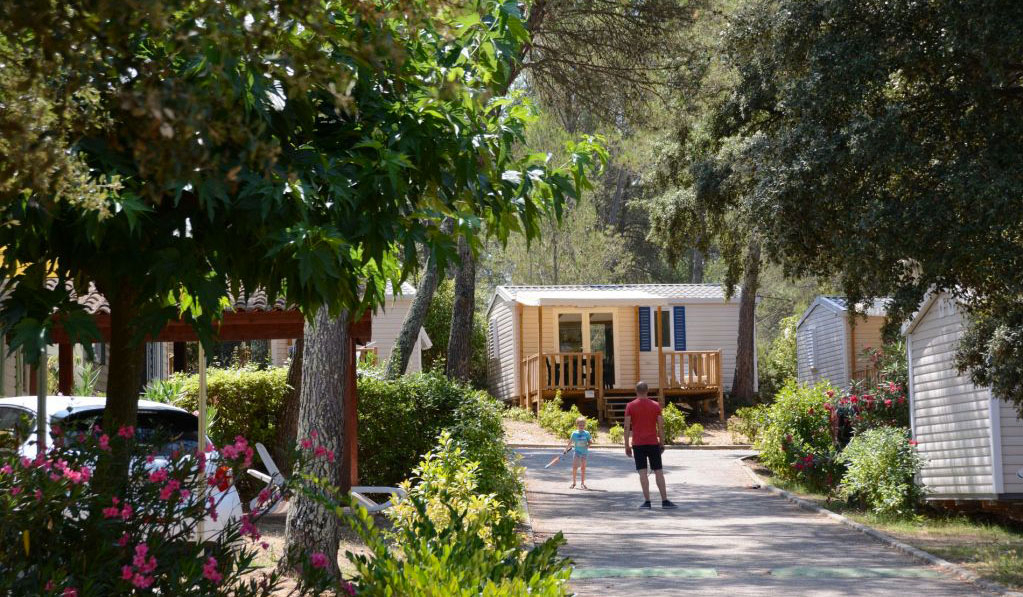 Le Plein Air des Chênes Linguadoca-Rossiglione - Clapiers visuel 21/25