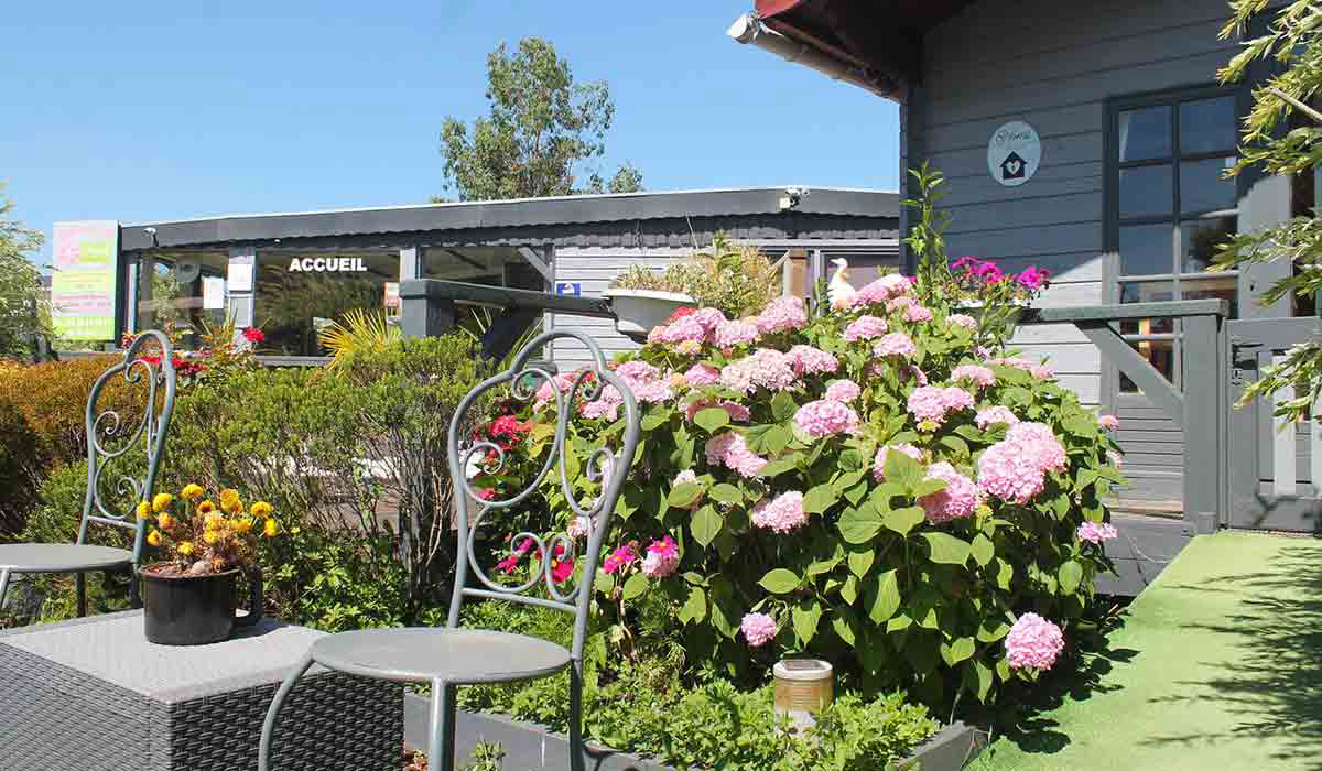 Le Préjoly Nord-Passo di Calais - Hondschoote visuel 3/4 Le Préjoly Nord-Passo di Calais - Hondschoote visuel 3/4