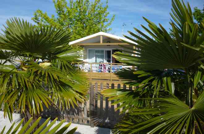 Le Pô Doré Paesi della Loira - Allonnes visuel 4/8 Le Pô Doré Paesi della Loira - Allonnes visuel 4/8