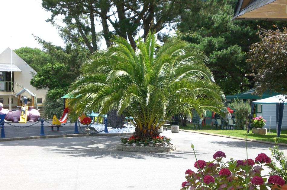 Le Raguenès Plage Bretagna - Névez visuel 9/9