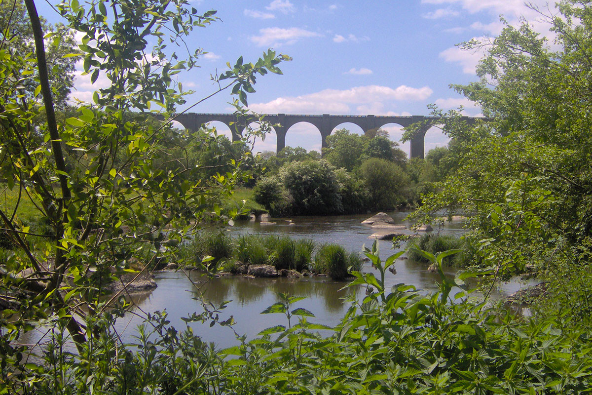 Le Rouge Gorge Paesi della Loira - Saint-Laurent-sur-Sèvre visuel 5/11
