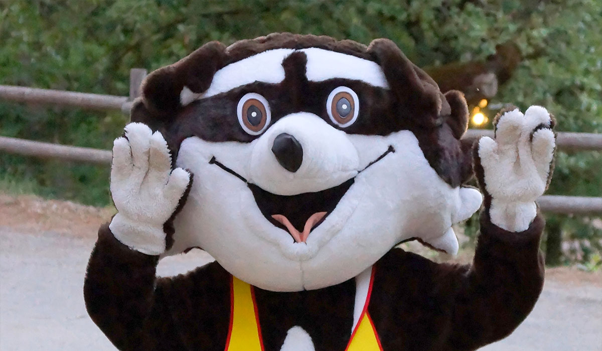 Le Ruou Provenza-Alpi-Costa Azzurra - Villecroze visuel 12/17