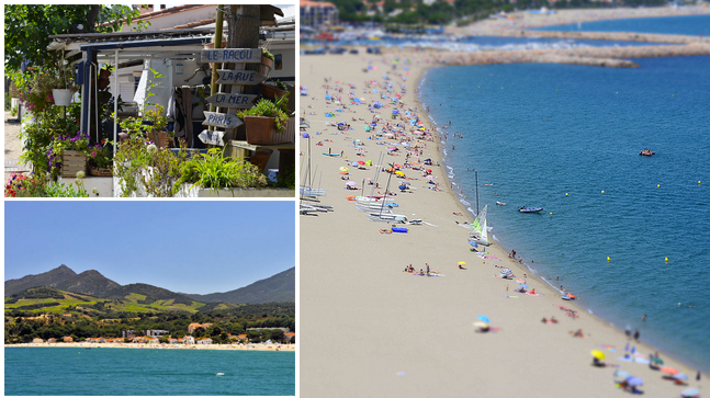 Le Saint Andre Linguadoca-Rossiglione - Saint-André visuel 3/3 Le Saint Andre Linguadoca-Rossiglione - Saint-André visuel 3/3