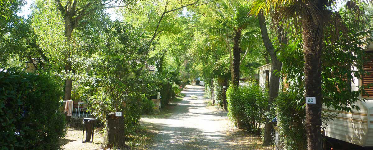 Le Saint Martin Linguadoca-Rossiglione - Céret visuel 2/3