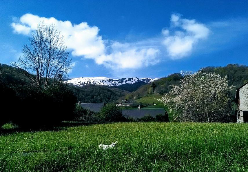 Le Saint Roch Midi-Pirenei - Campan visuel 1/1