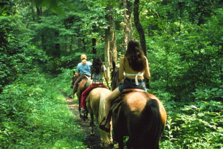 Le Soline Toscana - Casciano visuel 6/9