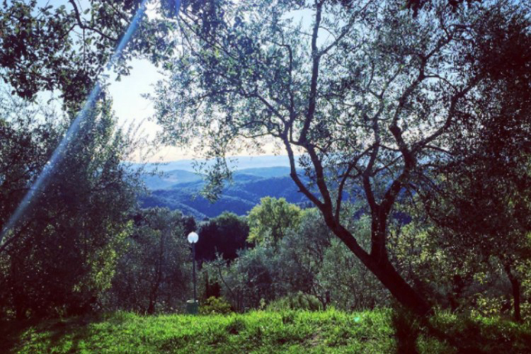 Le Soline Toscana - Casciano visuel 8/9