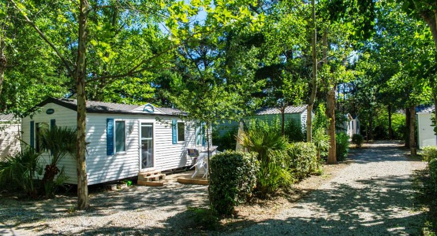 Le Texas Linguadoca-Rossiglione - Argelès-sur-Mer visuel 3/4 Le Texas Linguadoca-Rossiglione - Argelès-sur-Mer visuel 3/4