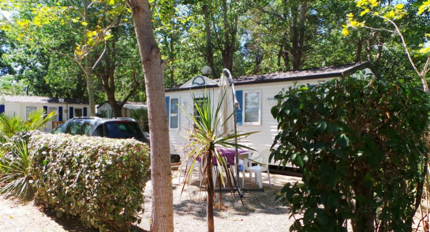 Le Texas Linguadoca-Rossiglione - Argelès-sur-Mer visuel 4/4 Le Texas Linguadoca-Rossiglione - Argelès-sur-Mer visuel 4/4