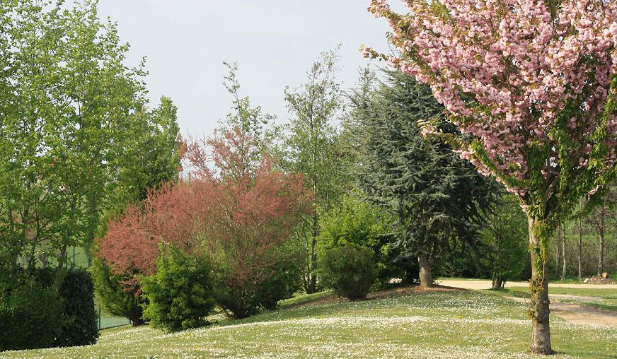 Le Val d'Authie Piccardia - Villers-sur-Authie visuel 8/16 Le Val d'Authie Piccardia - Villers-sur-Authie visuel 8/16