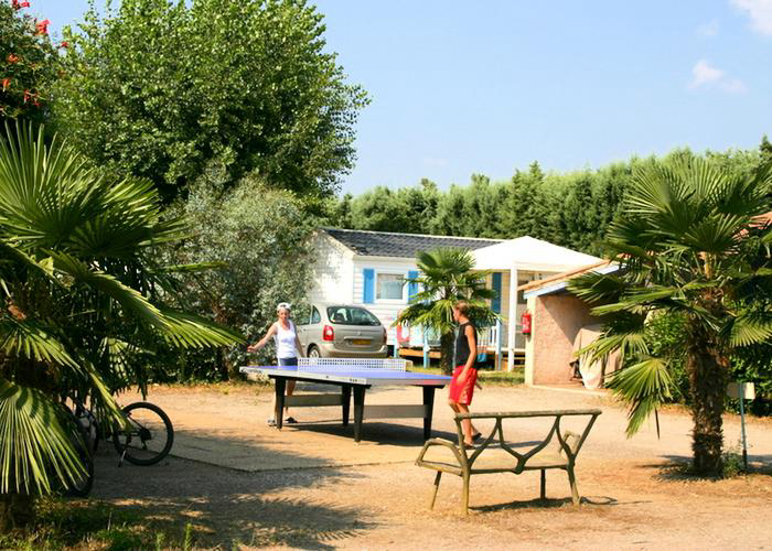 Le Vaudois Provenza-Alpi-Costa Azzurra - Roquebrune-sur Argens visuel 6/8