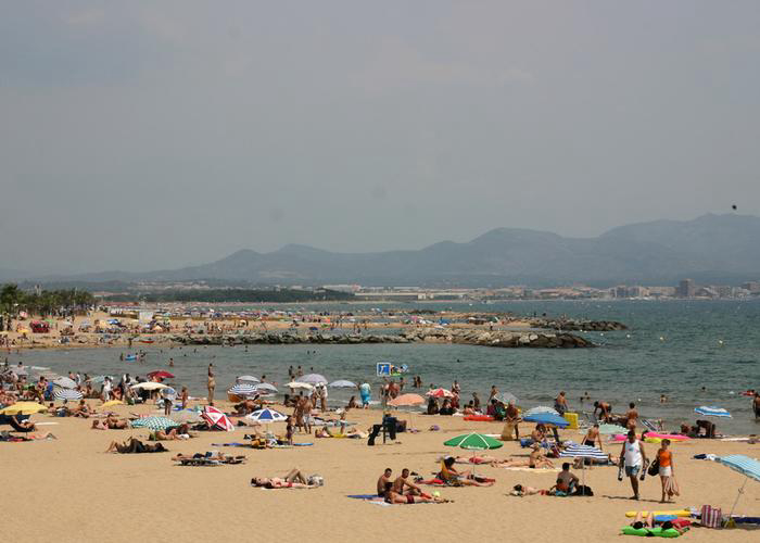 Le Vaudois Provenza-Alpi-Costa Azzurra - Roquebrune-sur Argens visuel 7/8