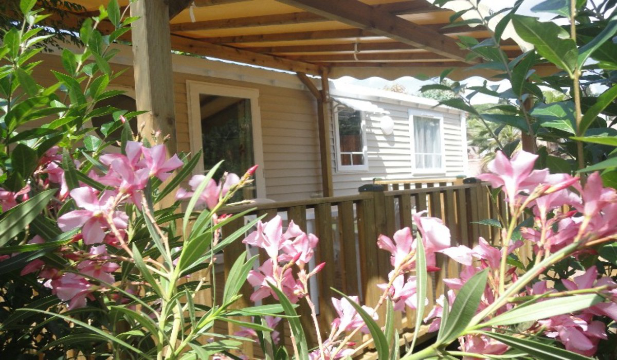 Les Acacias Provenza-Alpi-Costa Azzurra - Fréjus visuel 6/10