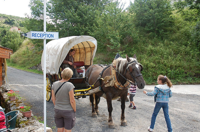 Les Airelles Rodano-Alpi - Saint-Cirgues-en-Montagne visuel 4/6