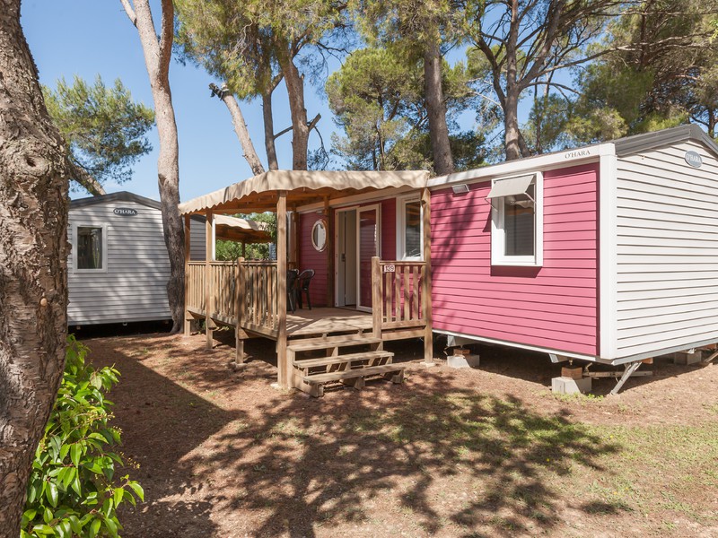 Les Amandiers Linguadoca-Rossiglione - Gallargues le Montueux visuel 5/13