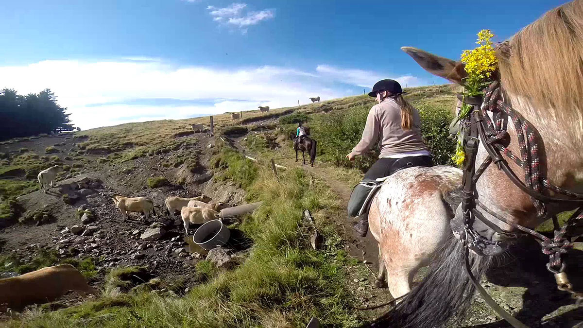 Les Aurandeix Alvernia - Tauves visuel 3/12