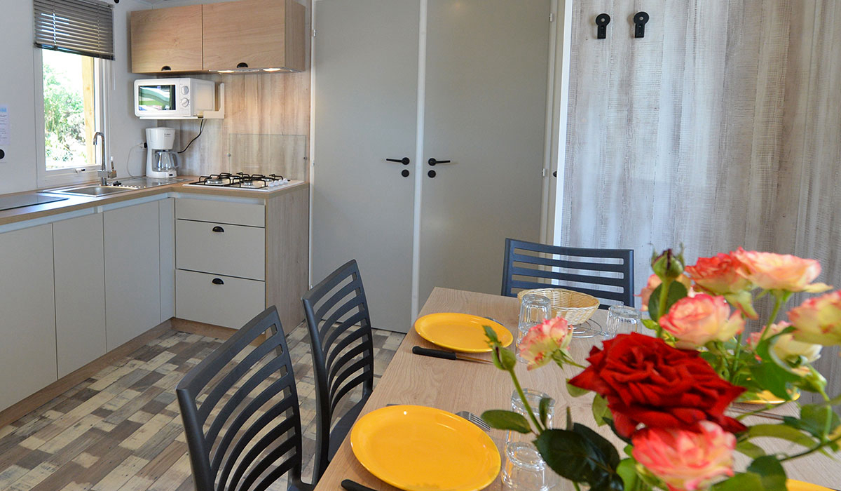 Les Aventuriers de la Calypso Paesi della Loira - Saint-Jean-de-Monts visuel 20/20