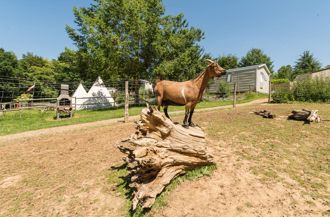 Les Cerisiers Bretagna - Guillac visuel 9/29