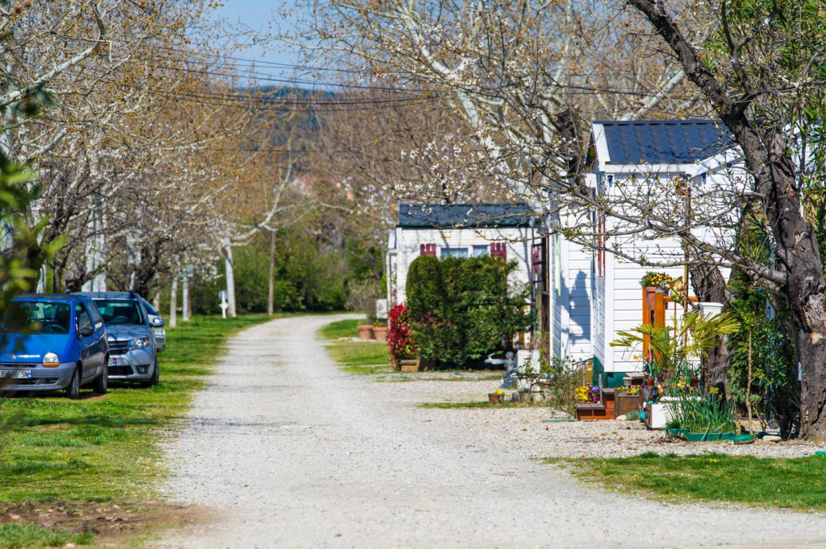 Les Cerisiers Linguadoca-Rossiglione - Céret visuel 3/4