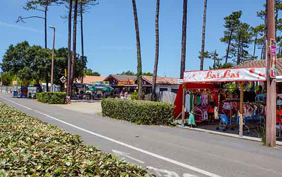 Les Cigales Aquitania - Moliets-et-Maa visuel 8/10