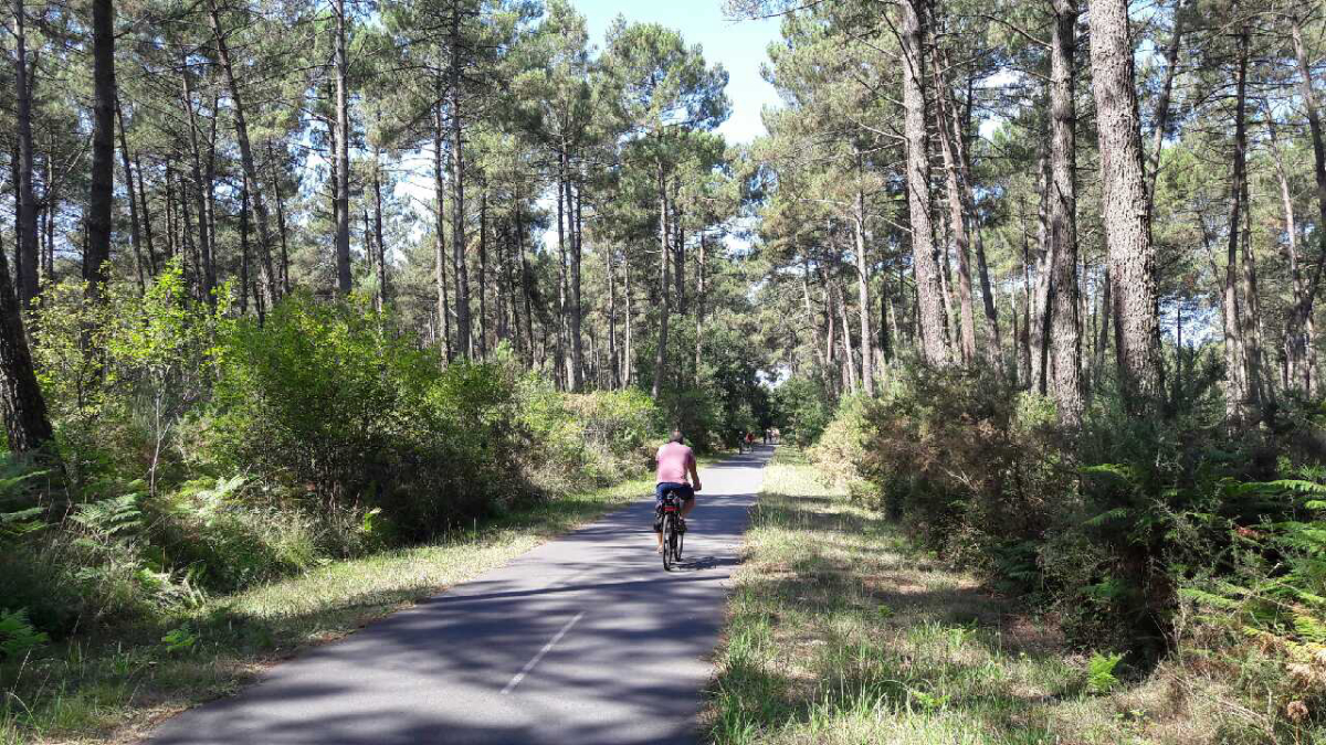 Les Cigales Aquitania - Moliets-et-Maa visuel 7/10