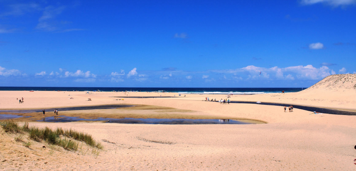 Les Cigales Aquitania - Moliets-et-Maa visuel 2/10