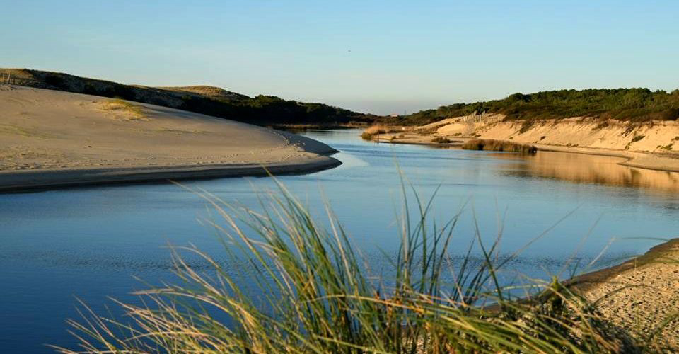 Les Cigales Aquitania - Moliets-et-Maa visuel 6/10