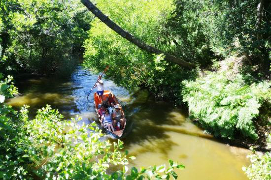 Les Cigales Aquitania - Moliets-et-Maa visuel 9/10