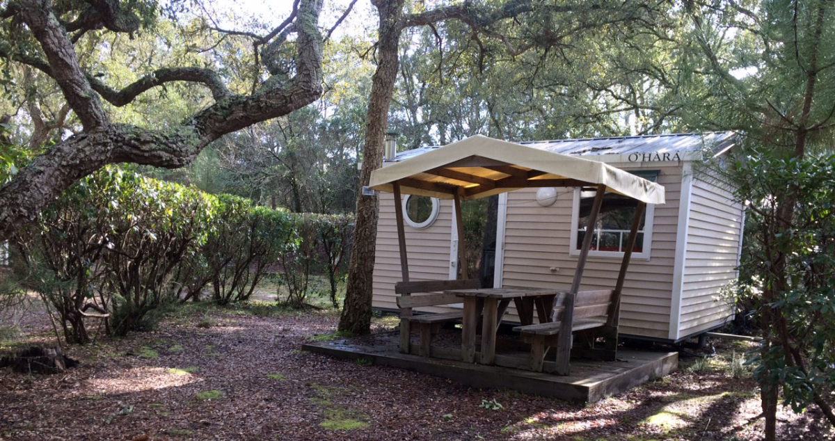 Les Cigales Aquitania - Moliets-et-Maa visuel 4/10