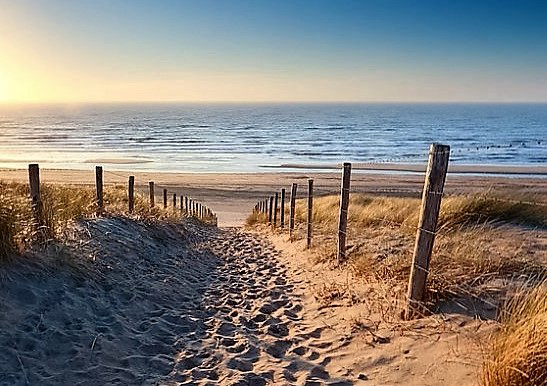 Les Cigales Aquitania - Moliets-et-Maa visuel 10/10