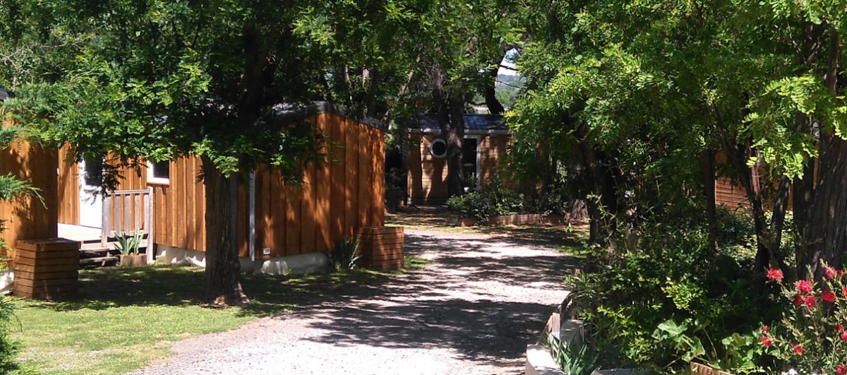 Les Cigales Linguadoca-Rossiglione - Pézenas visuel 2/12