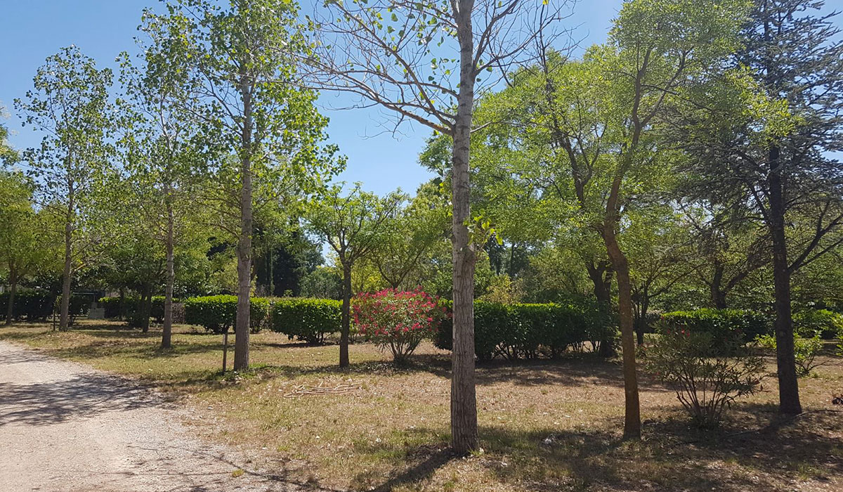 Les Cottages de Saint André Linguadoca-Rossiglione - Saint-André-de-Sangonis visuel 4/7 Les Cottages de Saint André Linguadoca-Rossiglione - Saint-André-de-Sangonis visuel 4/7