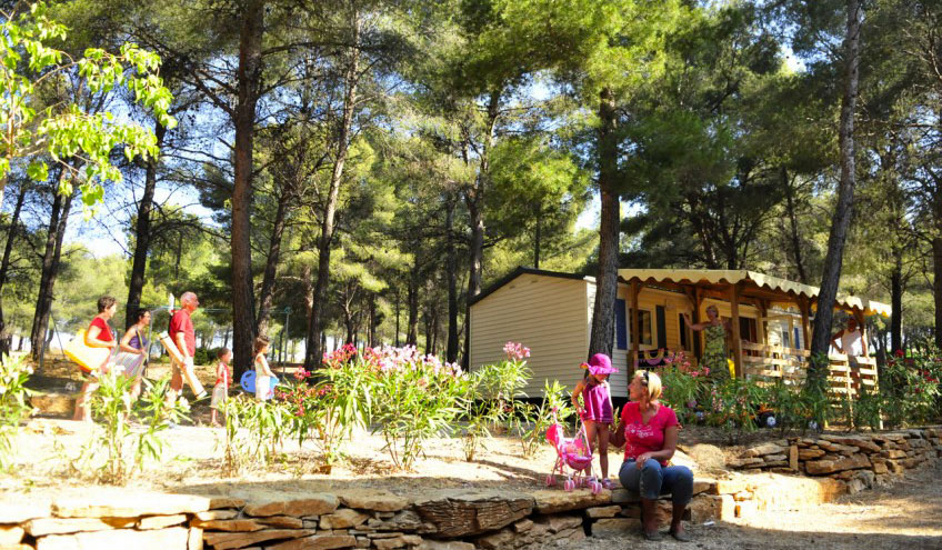 Les Dauphins Provenza-Alpi-Costa Azzurra - Saint-Cyr-sur-Mer visuel 1/4