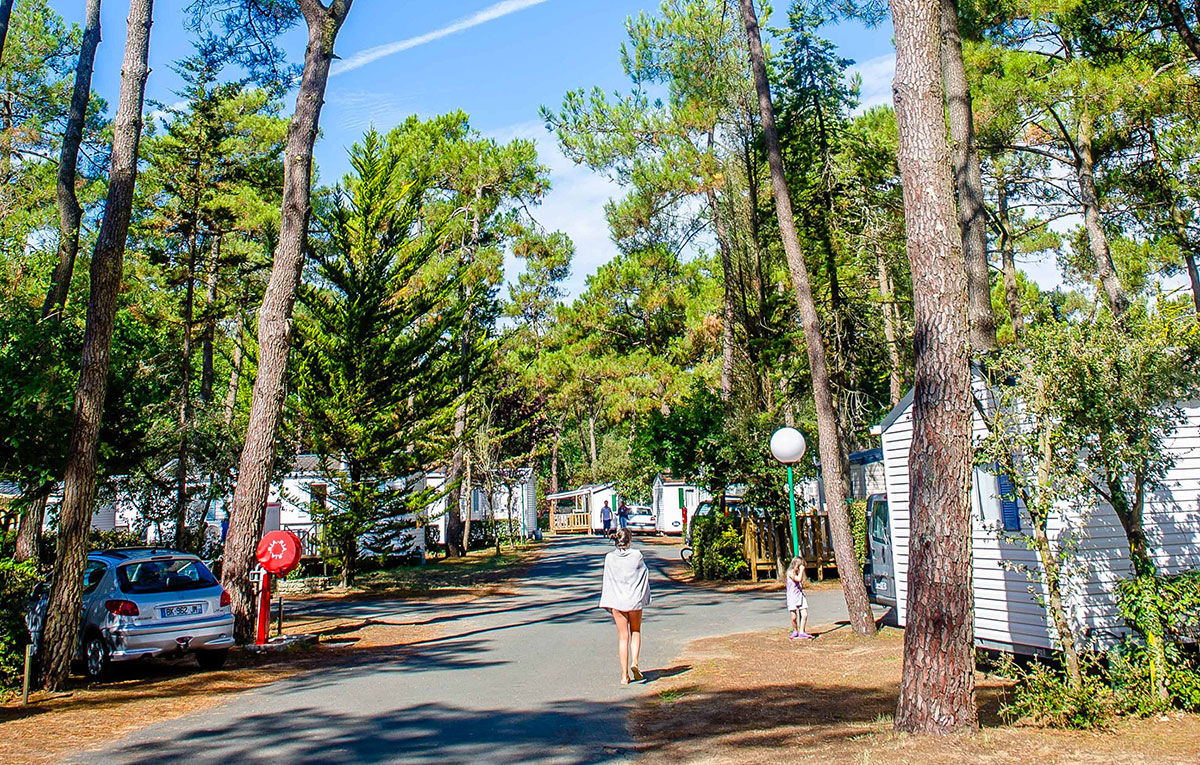 Les Dunes Paesi della Loira - Longeville sur Mer visuel 5/12 Les Dunes Paesi della Loira - Longeville sur Mer visuel 5/12