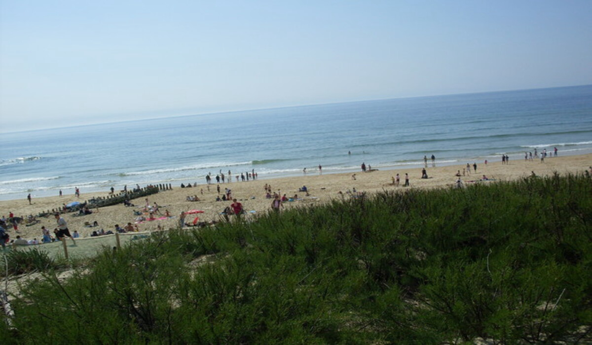 Les Echasses Aquitania - Gastes visuel 7/8