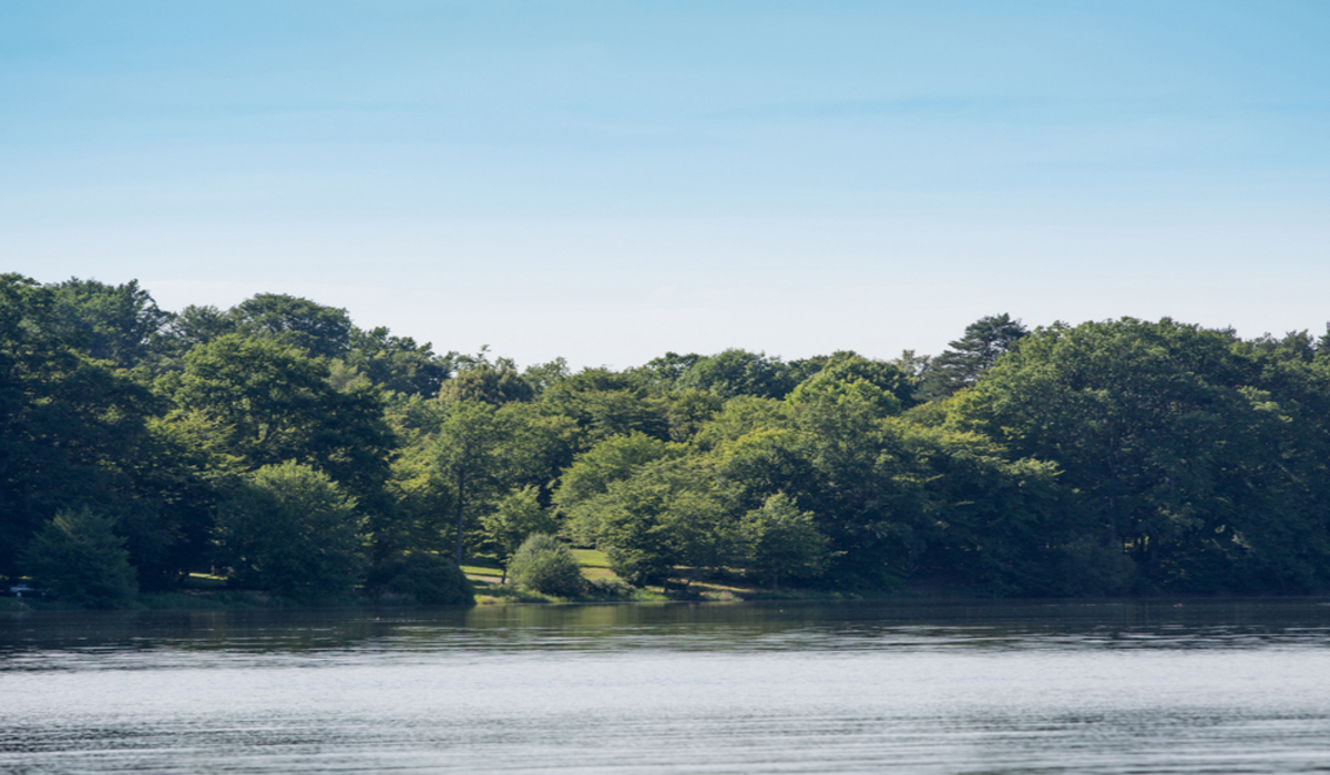 Les Ecossais Alvernia - Isle-et-Bardais visuel 2/5 Les Ecossais Alvernia - Isle-et-Bardais visuel 2/5