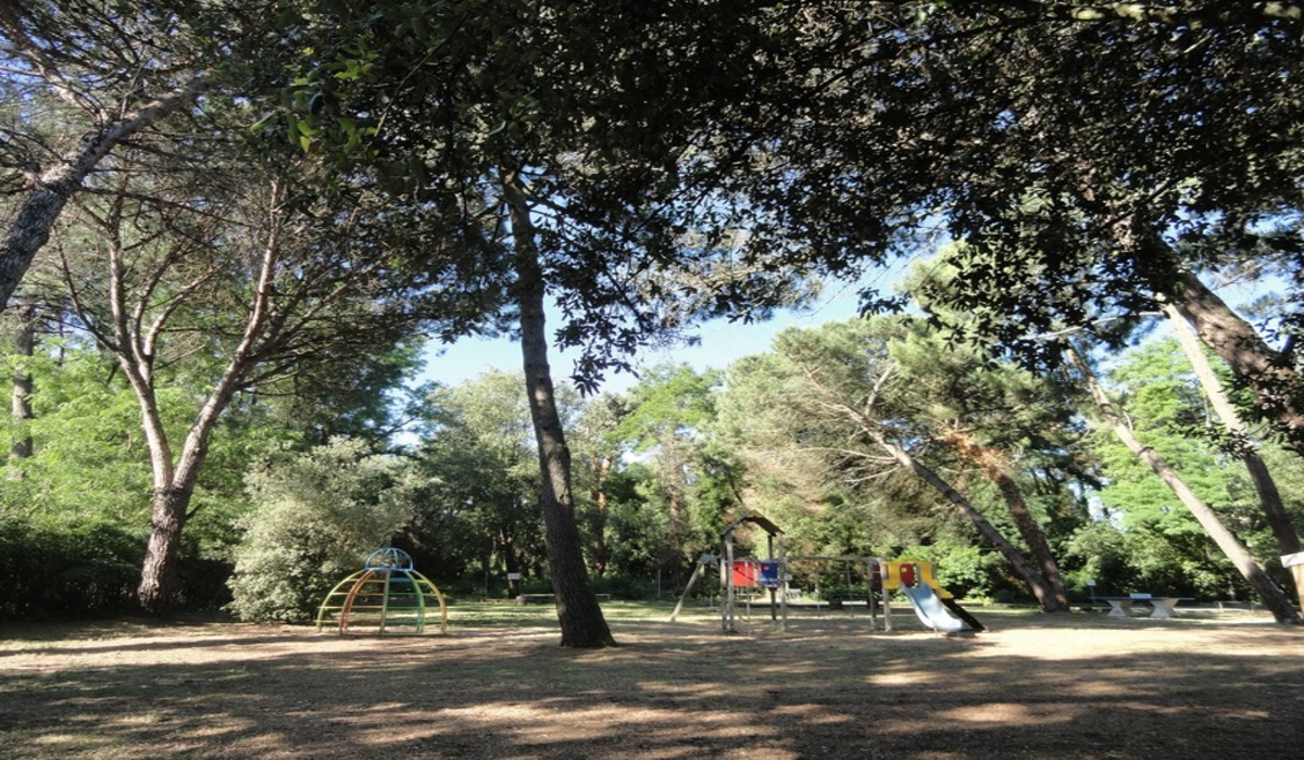 Les Fougères Poitou-Charentes - Rivedoux-Plage visuel 3/11