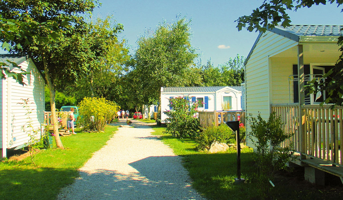 Les Genets Bretagna - Penmarc'h visuel 4/4 Les Genets Bretagna - Penmarc'h visuel 4/4