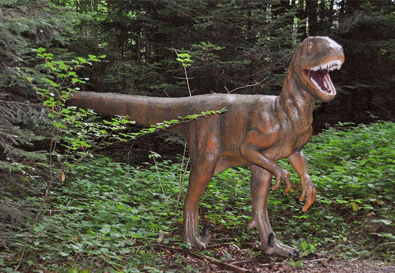 Les Grottes Espace Mittelland - Réclère visuel 8/9