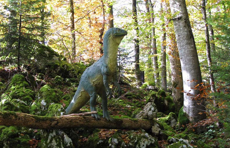 Les Grottes Espace Mittelland - Réclère visuel 5/9