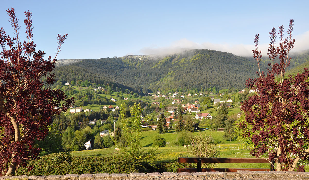 Les Huttes Alsazia - Wangenbourg-Engenthal visuel 6/12 Les Huttes Alsazia - Wangenbourg-Engenthal visuel 6/12