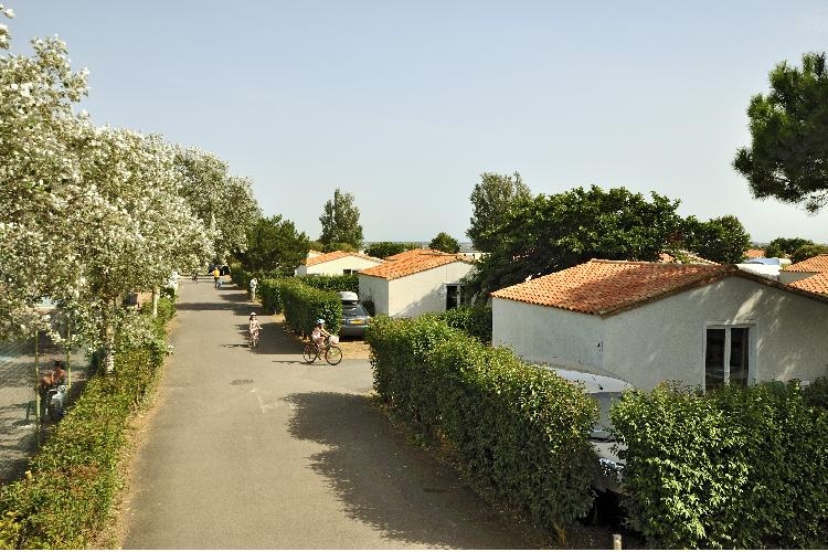 Les Ilates Poitou-Charentes - Loix visuel 11/14 Les Ilates Poitou-Charentes - Loix visuel 11/14